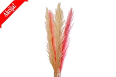 011 dekorativna pampas trava